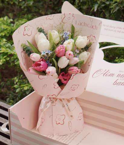 Box The Blooming Whisper tulip