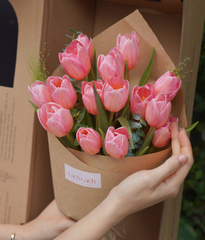 Box thảnh thơi tulip nhuộm rosy