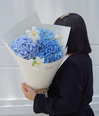 Bó một mặt tú cầu xanh dương Hà Lan