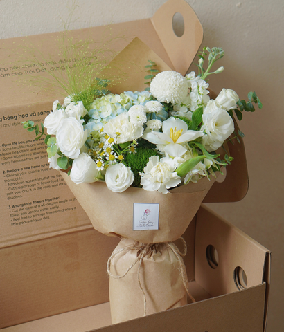 Box thảnh thơi tú cầu xanh bơ mix tulip