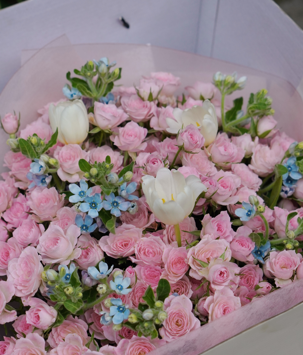 A Sweet Surprise hồng chùm hồng nhạt