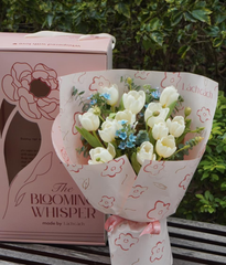 Box The Blooming Whisper tulip