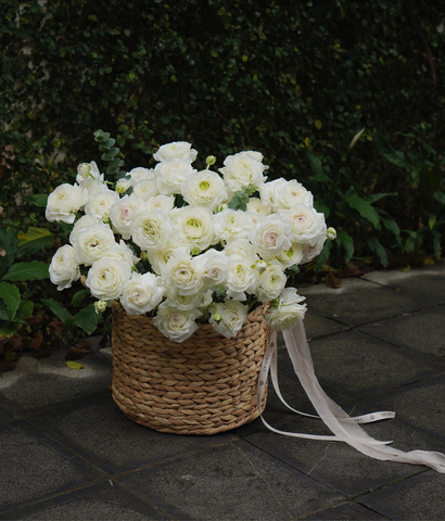 Giỏ lục bình mao lương trắng VIP