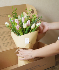 Box thảnh thơi tulip