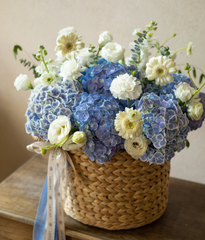 Giỏ lục bình tú cầu xanh viền trắng