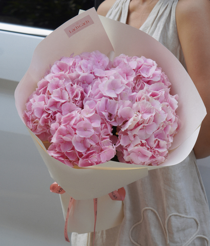 Bó một mặt tú cầu hồng Hà Lan