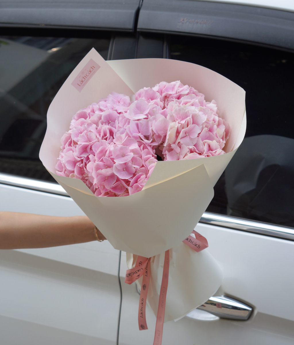 Bó một mặt tú cầu hồng Hà Lan