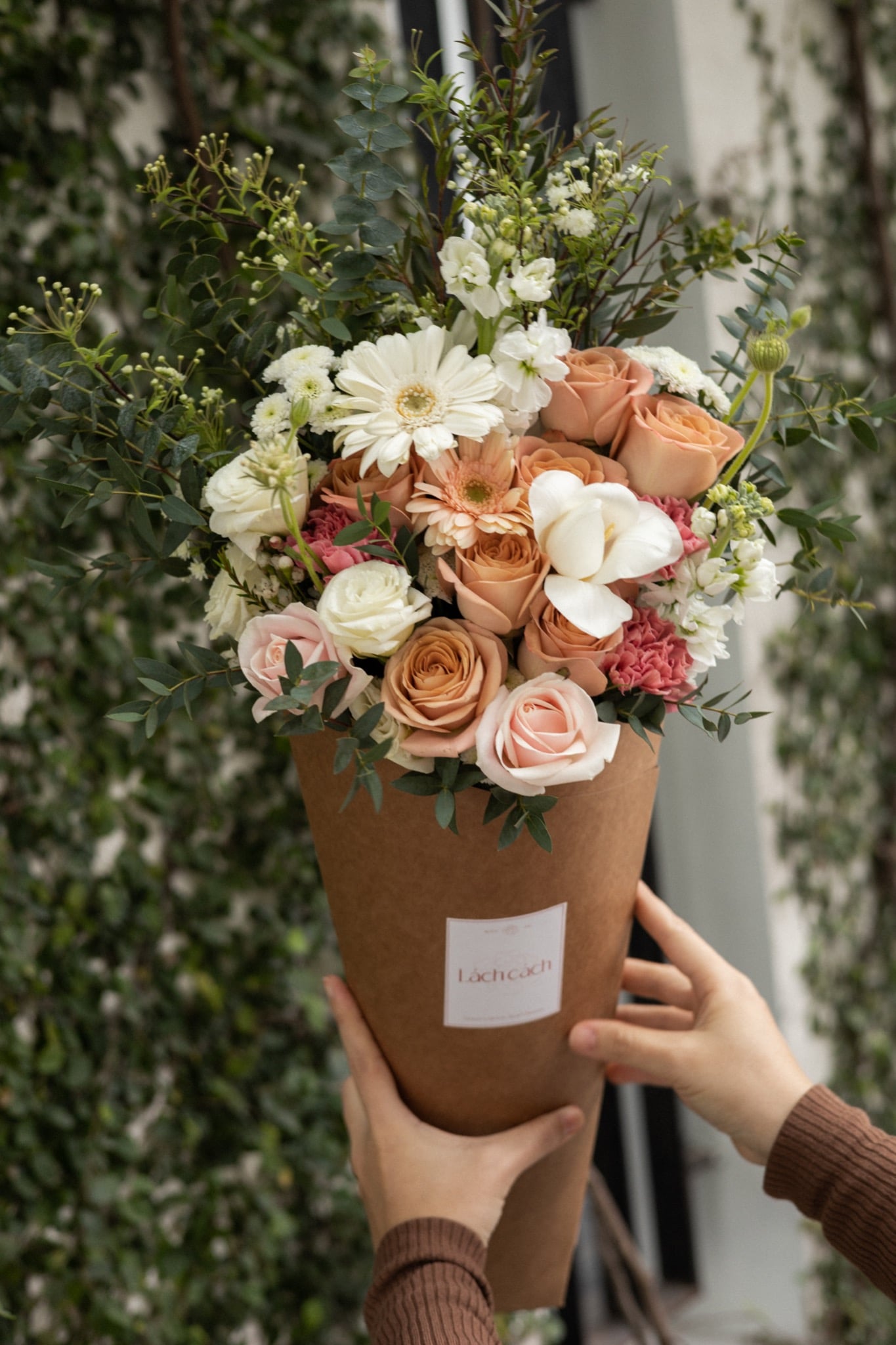 Signature hồng capuchino mix tulip