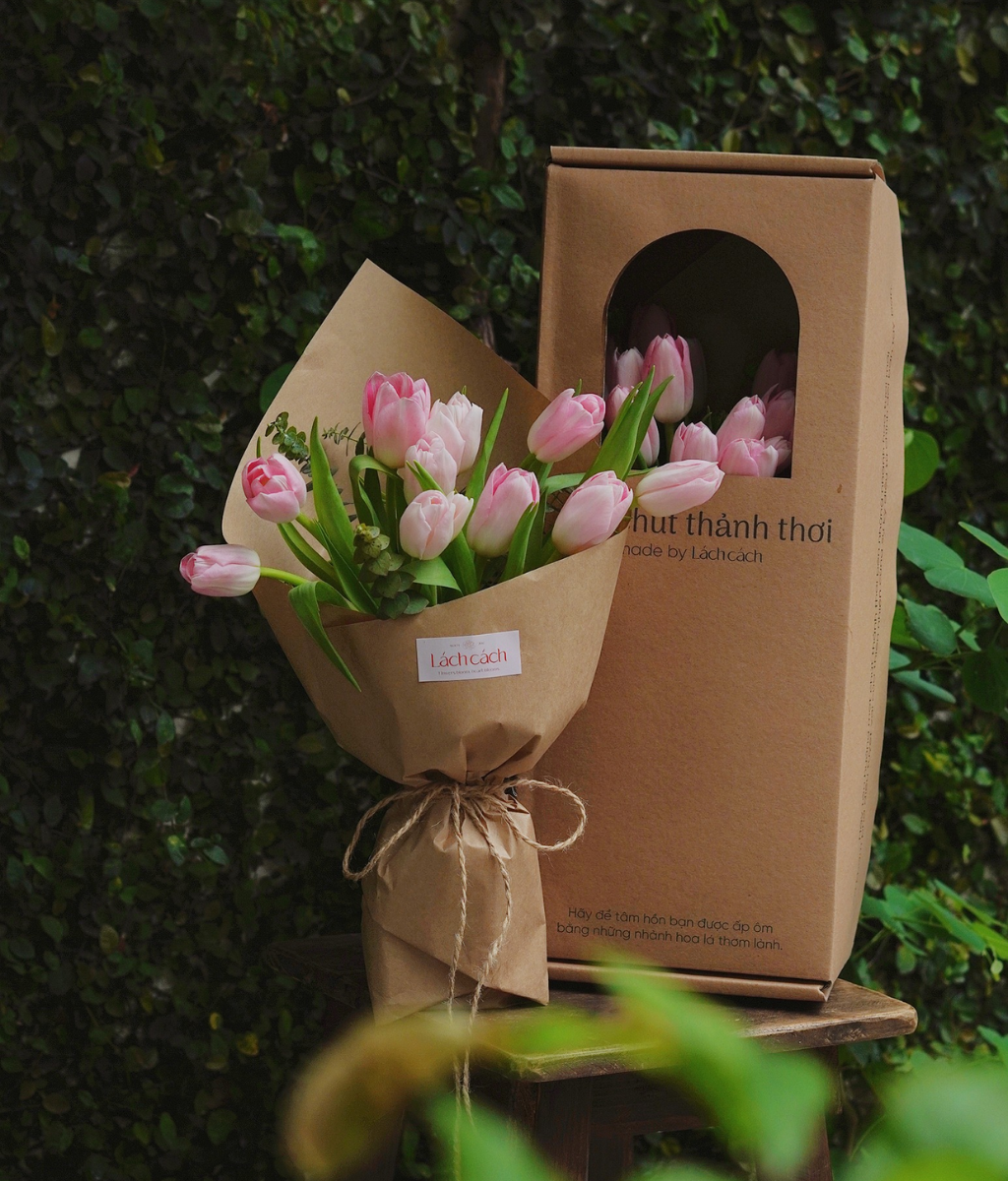 Box thảnh thơi tulip