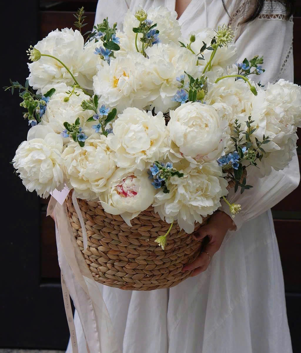 Giỏ lục bình Peony 40 bông