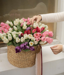 Giỏ lục bình tulip