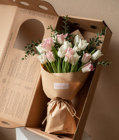 Box thảnh thơi tulip