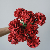  MPF-CẨM CHƯỚNG 