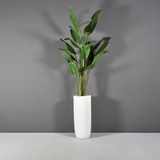  JS - SAINT TROPEZ Chậu Composite tròn dáng đạn (Đường kính 31 x Cao 82 cm) 