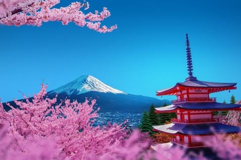 Đón Tết 2026: TOKYO - PHÚ SĨ - NAGOYA - KYOTO - OSAKA (KH M1-M5)