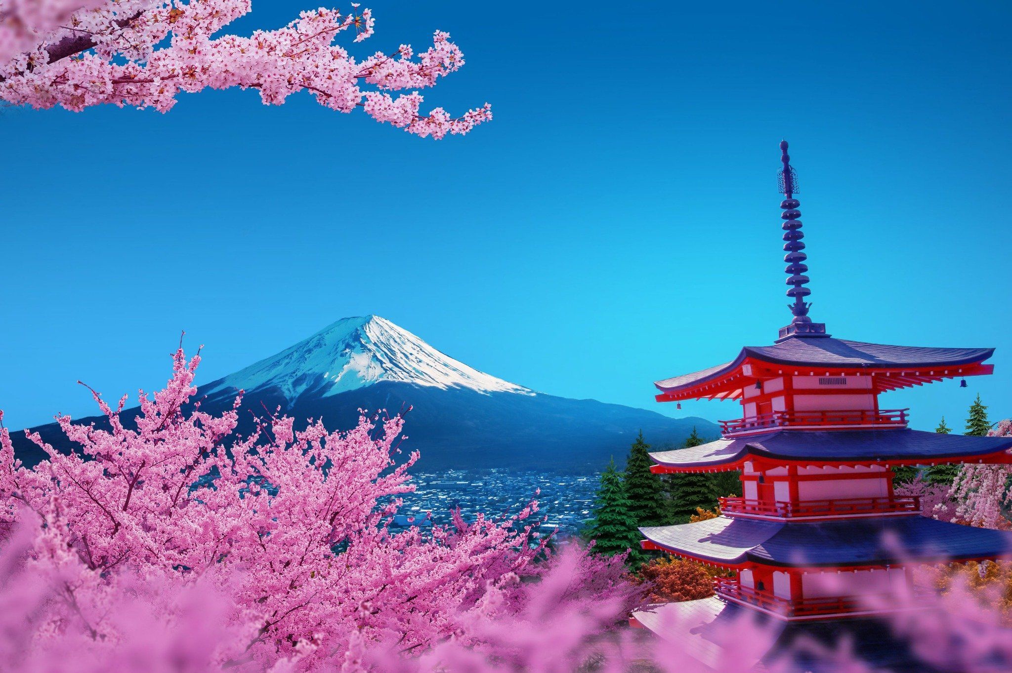 Đón Tết 2026: TOKYO - PHÚ SĨ - NAGOYA - KYOTO - OSAKA (KH M1-M5)