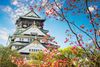 CUNG ĐƯỜNG VÀNG NHẬT BẢN: TOKYO - NÚI PHÚ SĨ - NAGOYA - KYOTO - OSAKA