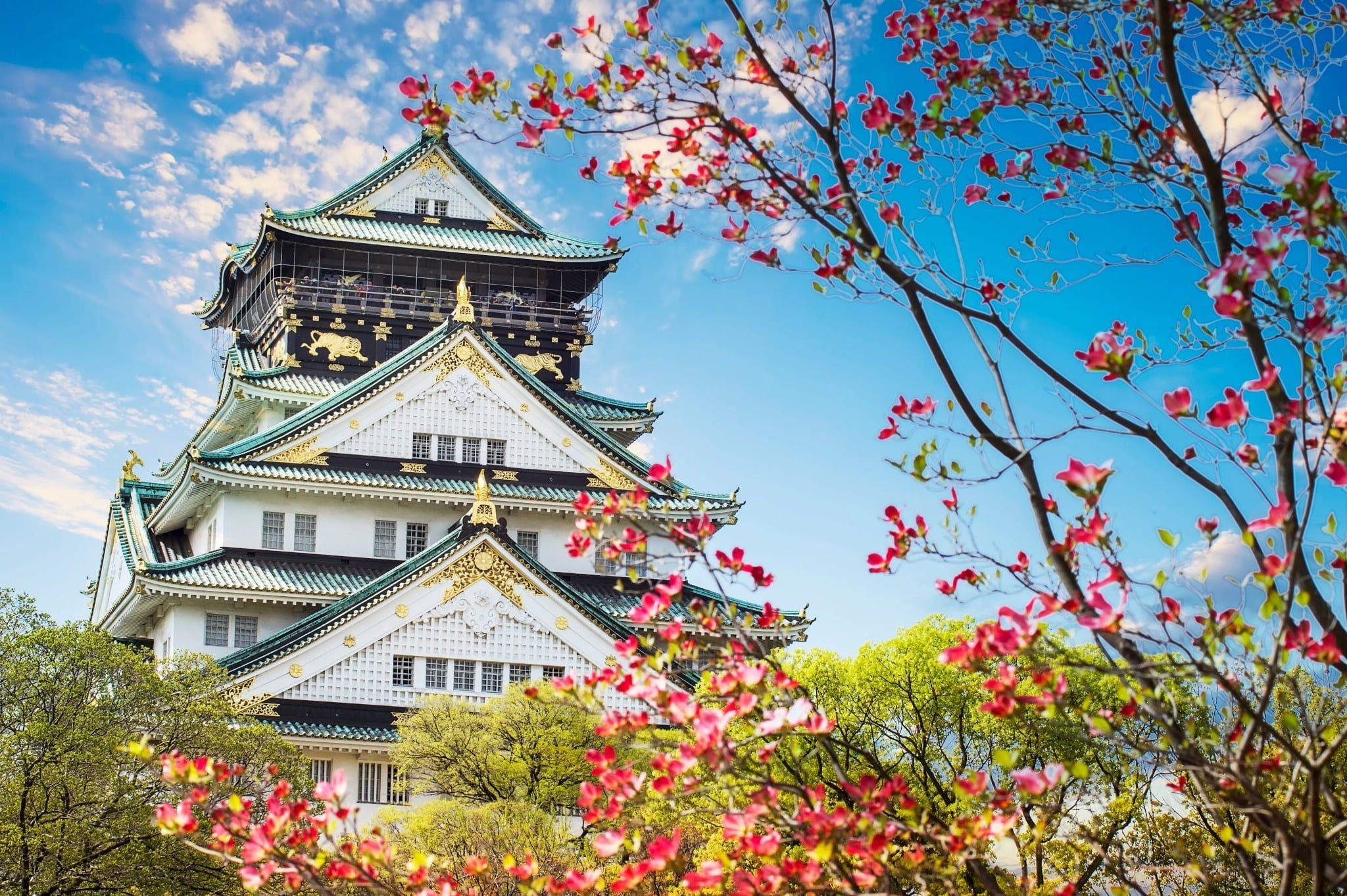 ĐÓN LỄ 30/4 TRÊN ĐẤT NƯỚC MẶT TRỜI MỌC: OSAKA - KYOTO - NAGOYA - PHÚ SĨ - TOKYO