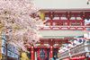 NHẬT BẢN MÙA HOA ANH ĐÀO: TOKYO – NÚI PHÚ SĨ – NAGOYA – KYOTO – OSAKA (2026)