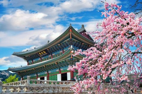 LỄ GIỔ TỔ: ĐÀ NẴNG - HÀN QUỐC 2026