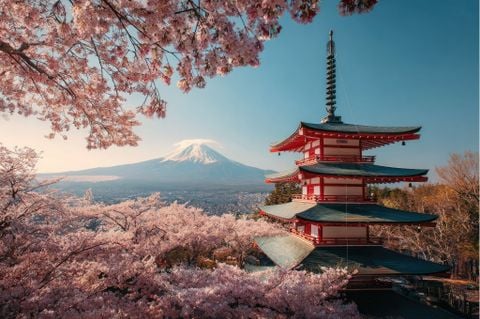 NHẬT BẢN MÙA HOA ANH ĐÀO: TOKYO – NÚI PHÚ SĨ – NAGOYA – KYOTO – OSAKA