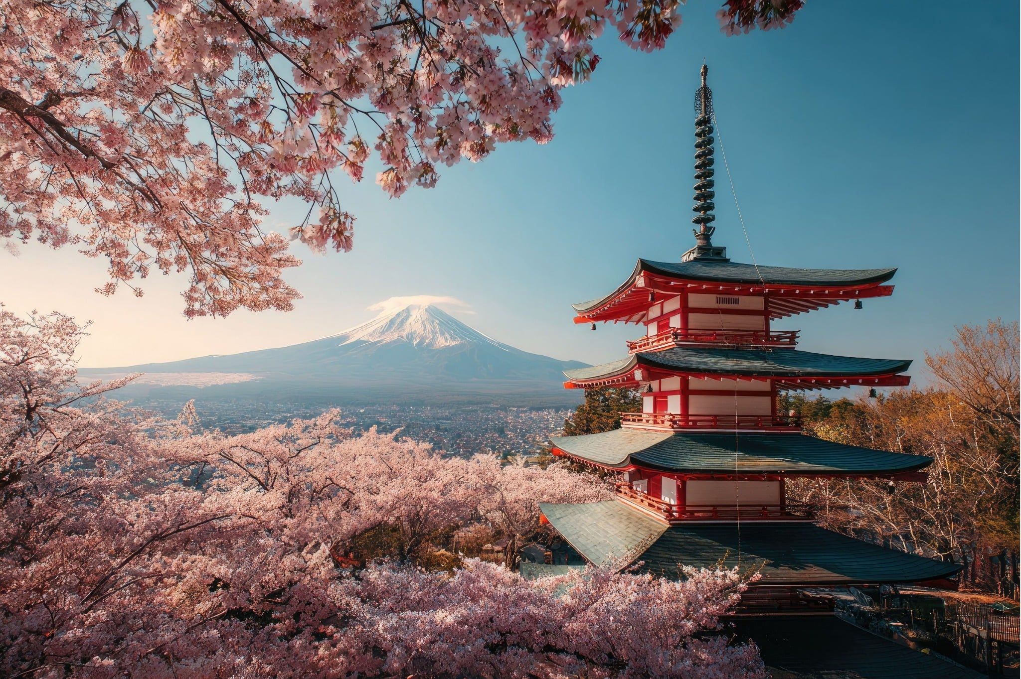 NHẬT BẢN MÙA HOA ANH ĐÀO: TOKYO – NÚI PHÚ SĨ – NAGOYA – KYOTO – OSAKA (2026)