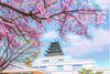 HÀN QUỐC MÙA HOA ANH ĐÀO: SEOUL - NAMI - EVERLAND - STARFILDE (2026)