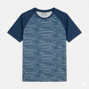  ÁO T-SHIRT THỂ THAO RAGLAN BILUXURY - TÍM THAN TỐI 1APKT613TTT 