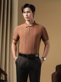  Áo polo kẻ sọc (Nâu, 39) 