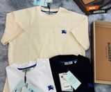  Áo Thun Phông Nam Cổ Tròn Bo Len BASIC NGỰA XANH BBR LONDON LIMITED Hàng Hiếm xịn Chuẩn Hãng T- shirt S2025 Vải Cotton 250gsm 