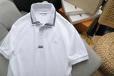  Áo Thun Nam Polo SlimFit LCST Logo Thêu Dáng Dài Phối Viền Cổ Bo Len Vải Dệt Cotton Chính Phẩm Chuẩn Hãng Xịn Mắt Vải Cá Mập Dệt Xịn Thoáng Mát Cao Cấp 
