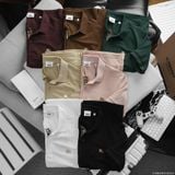  Áo Thun Nam Polo BURBERRY LOGO VÀNG 6 MÀU Form Regular-Fit Vải Dệt Tơ Cao Cấp Sang Trọng 