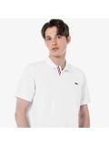  Áo Thun Nam Polo LCST Cổ V Viền Đỏ 3 Màu Tết Vải Cotton KHÔNG NÚT BASIC SlimFit - Vải Dày Nhẹ Mát Cao Cấp Hàng Xuất Xịn Có Big Size 