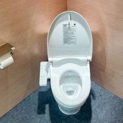 Bồn cầu điện tử TOTO MS857CDW26 nắp washlet TCF23661GAA dòng S1 giấu dây