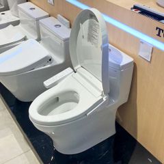 Bồn cầu thông minh TOTO MS889DRW24 nắp washlet TCF33461GAA dòng S2