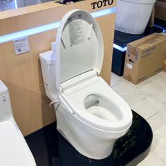 Bồn cầu thông minh TOTO MS889DRW25 nắp washlet TCF34461GAA dòng S5