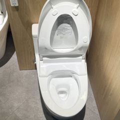 Bồn cầu thông minh TOTO MS625CDW15