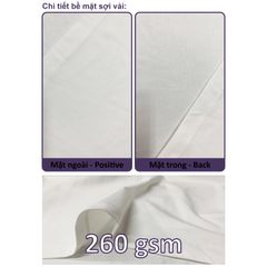 Áo Thun Nam Nữ Unisex Cotton Cao Cấp 260gsm_TRƠN