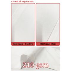 Áo Thun Nam Nữ Unisex Cotton Remake 210gsm_TRƠN