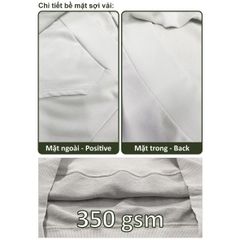 Áo Hoodie Nam Nữ Unisex Basic Plus Terry 350gsm_TRƠN