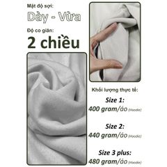 Áo Hoodie Nam Nữ Unisex Basic Plus Terry 350gsm_TRƠN