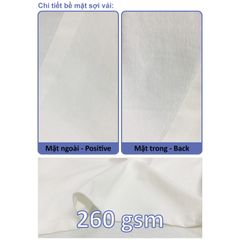 Áo Thun Nam Nữ Regular Unisex Cotton Premium 260gsm_TRƠN