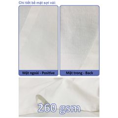 Áo Thun Nam Nữ Raplan Boxy - Fit Cotton Premium 260gsm_TRƠN