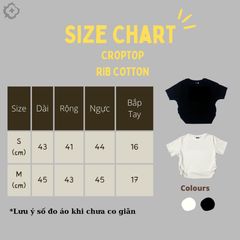 Áo Thun Croptop Nữ BABY TEE Rib Cotton 230gsm_TRƠN
