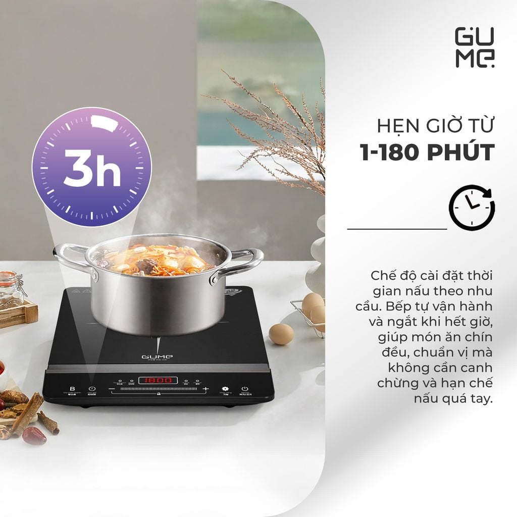 Bếp Từ Đơn Gume GM - IC03