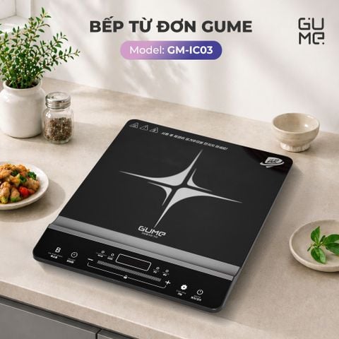  Bếp Từ Đơn Gume GM - IC03 