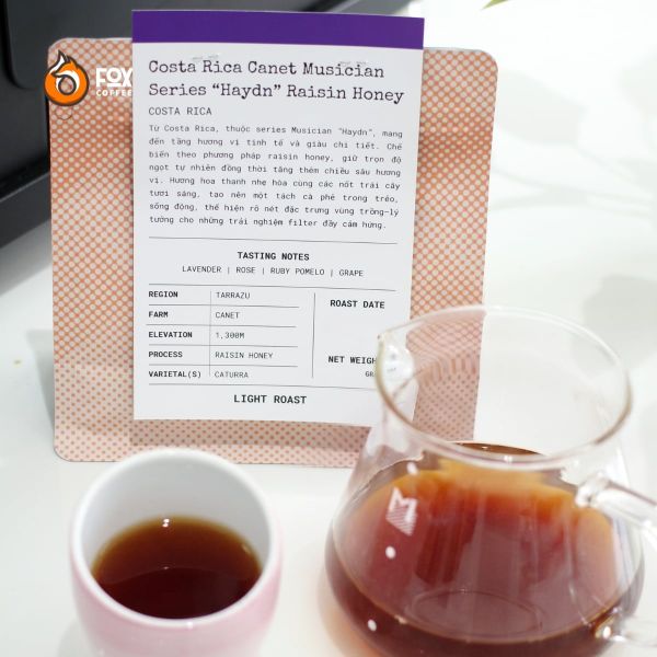 Cà Phê Đặc Sản Pha Pour-Over Canet Musician Series “Haydn” 150g | Fox Coffee Special Raisin Honey