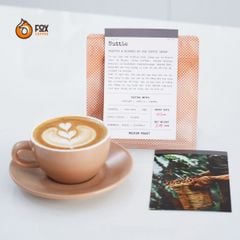 Cà Phê Đặc Sản Pha Máy Nuttie Fox Coffee | Special Espresso Blended