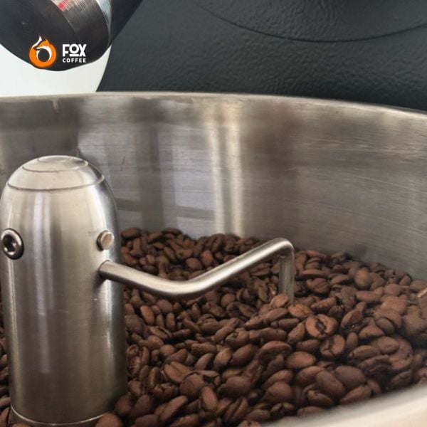 Cà Phê Đặc Sản Pha Máy Nuttie Fox Coffee | Special Espresso Blended