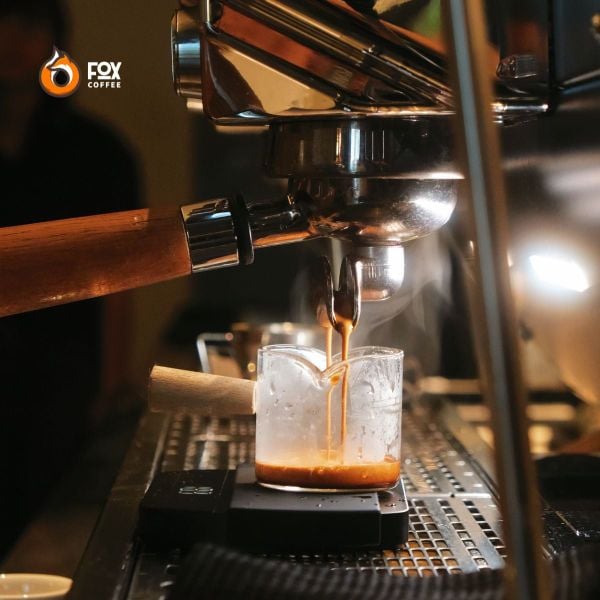 Cà Phê Đặc Sản Pha Máy Nuttie Fox Coffee | Special Espresso Blended